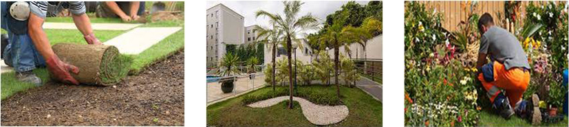Jardinagem